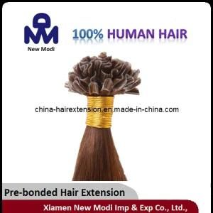 Indian Remy Nail Hair Product U-Tip Human Hair Extension