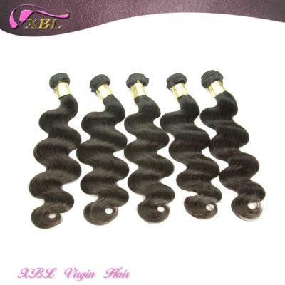 Natural Malaysian Hair Can Be Dyed Virgin Remy Human Hair