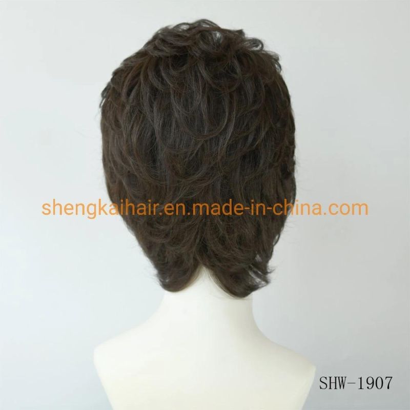 Wholesale Premium Quality Fashion Short Hair Length Full Handtied Human Hair Synthetic Hair Wig