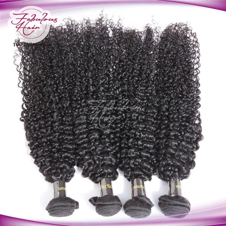 Wholesale Price Afro Kinky Curly Indian Human Hair