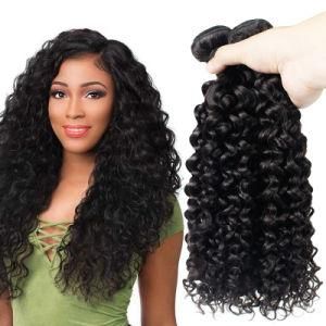 10A Grade Raw Indian Hair Unprocessed Virgin Hair Weaving Bundle Hair