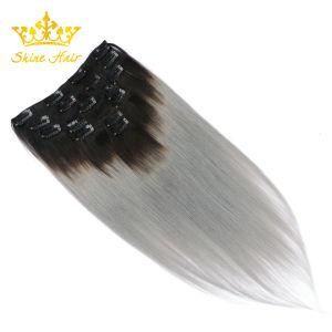 Wholesale Unprocessed Natural Black #1b/Gray 100% Virgin Human Clip Hair of Extension