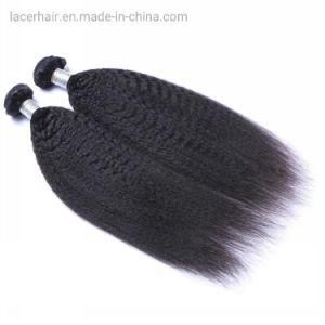 Hot Sales Indian Remy Hair Kinky Straight Hair Bundles Brazilian Hair Weft