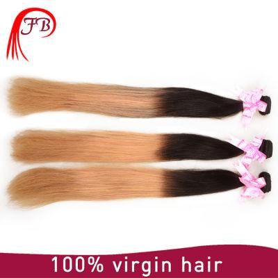 Ombre 1b/27 Indian Remy Human Hair Extension