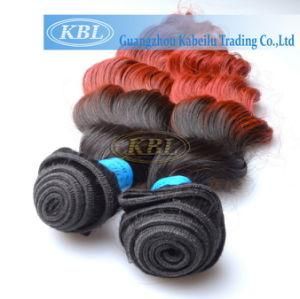 Brazilian Two Tone Color Human Hair Weft
