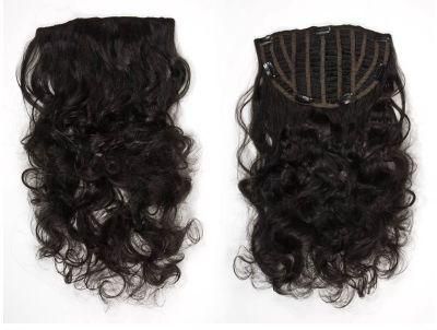 Clip in Hair Extension Hairpieces Virgin Hair Clip on Hair Extensions (AV-HW00-15)