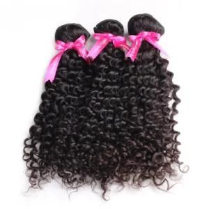 Virgin Indian Human Curly Extension Hair Products for Black Women