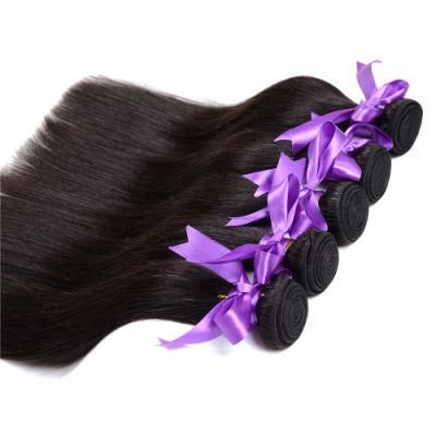 1 Piece Lot One Bundle One Donor Can Be Bleach Brazilian Hair 7A Cheap Brazilian Virgin Hair Straight