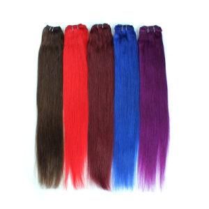 Mink Burmese Raw 100% Human Straight Hair Bundle Vendor