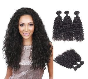 Free Sample Hair Bundles Wholesale Virgin Hair Vendors Malaysian Deep Curly Hair