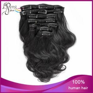 Virgin Brazilian Body Wave Clip in Human Hair Extensions