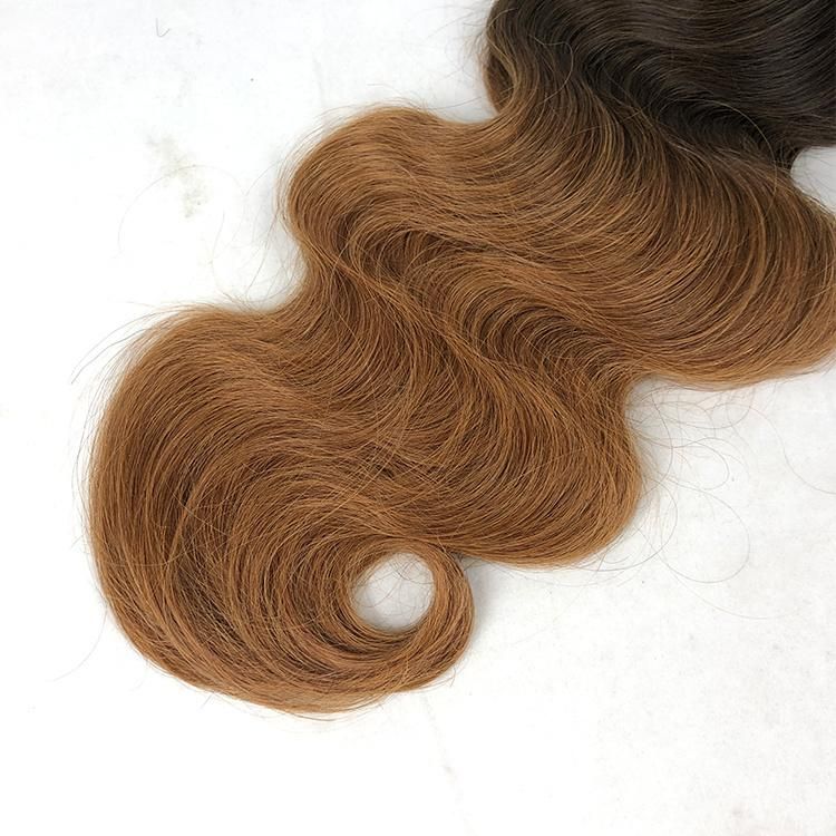 100% Brazilian Virgin Human Hair Body Wave Human Hair Clip in Extensions #T2/30