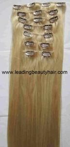 Remy Clip-in Hair Extensions
