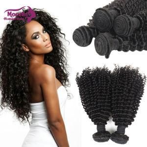 Kinky Curly 2 Piece Human Hair Extensions Free Sample Hair Bundles 10A Grade