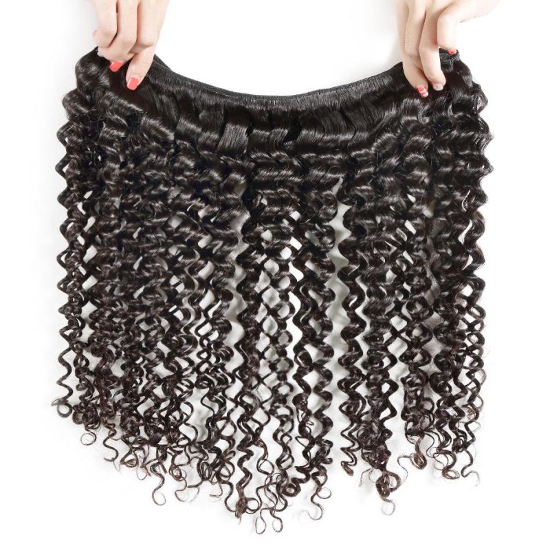 Factory Price Kinky Curly Brazilian Human Hair Extension