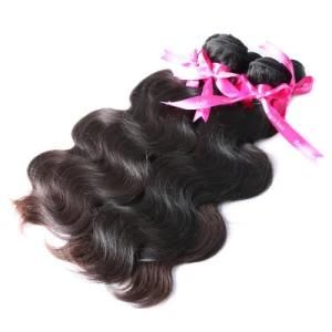 Wholesale Indian New Styles Body Wave Human Hair Extension