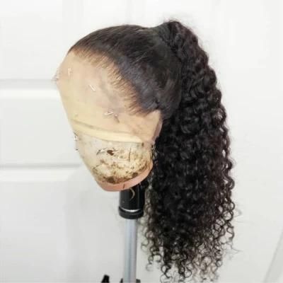 Sunlight Curly HD Lace Front Wig