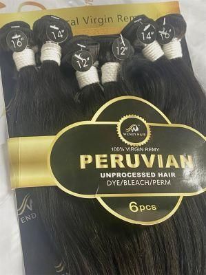Brazilian Hair Extension Soft Straight Hair Bundle with a Closure Cheap Packed Human Hair