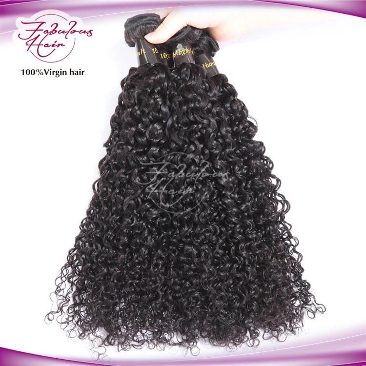 Best Wholesale Brazilian Natural Virgin Human Hair Bundles Curly