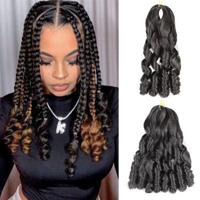 Beautiful Braids and Twist Crochet Braids with Pre Twisted Hair