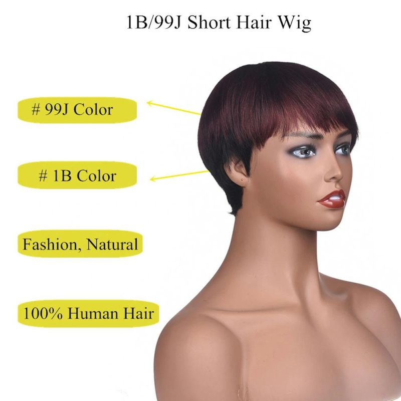 Short Straight Hair Wigbrazilian Remy Human Hair Wigs for Black Women Ombre Color 1b/99j