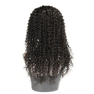Wholesale Human Brazilian Virgin 100% Cuticle Aligned Full Lace Wig