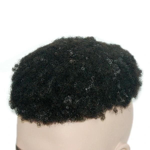 Lw80 High Quality Men′s Afro Wig Curly Human Hair Toupee