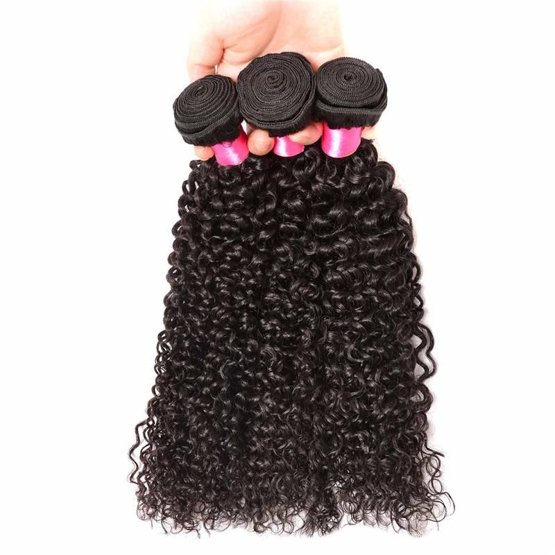 Wholesale Mink Virgin Brazilian Kinky Curly Hair Virgin Natural 100 Human Hair Bunlde