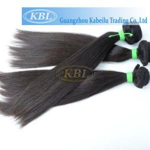 New Stock Soft Kinky Brazilian Twist Braiding Hair in Johannesburg