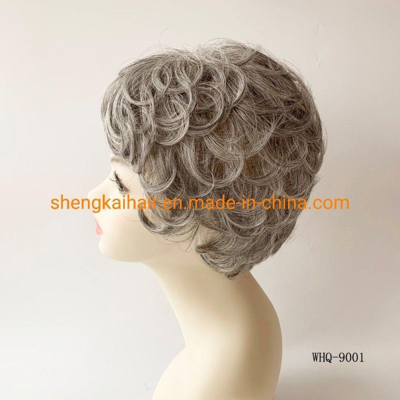 Wholesale Full Hand Tied Synthetic Hair Grey Hair Women Wig