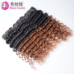 Sample Order Acceptable Peruvian Virgin Hair Cheap Price Deep Wave Ombre Hair