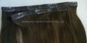 High Quality Seamless Clip in/on Human Virgin Hair