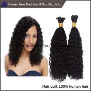 Wholesale Fashion Spring Curl Virgin Human Hair Bulk