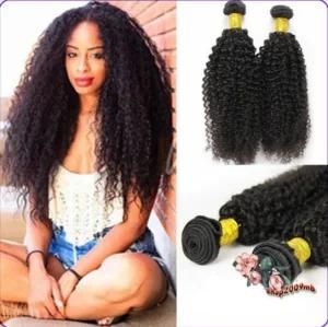 Peruvian Kinky Curl Virgin Human Hair Weave