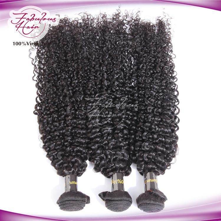 Golden Hair Supplier Indian Human Virgin Kinky Curly Natural Hair