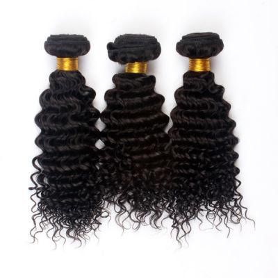 Curly Human Hair Weft Top Grade Wholesale