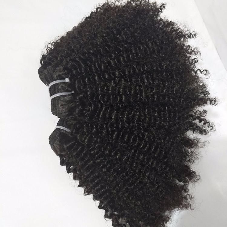 Brazilian Human Hair Extension Afro Kinky Curly Hair