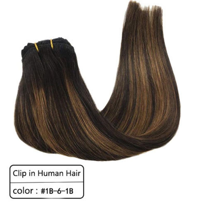 Clip in Brazilian Human Hair Extensions Full Head Remy Human Hair Straight Hair Extensions Multi Color 20 Inches