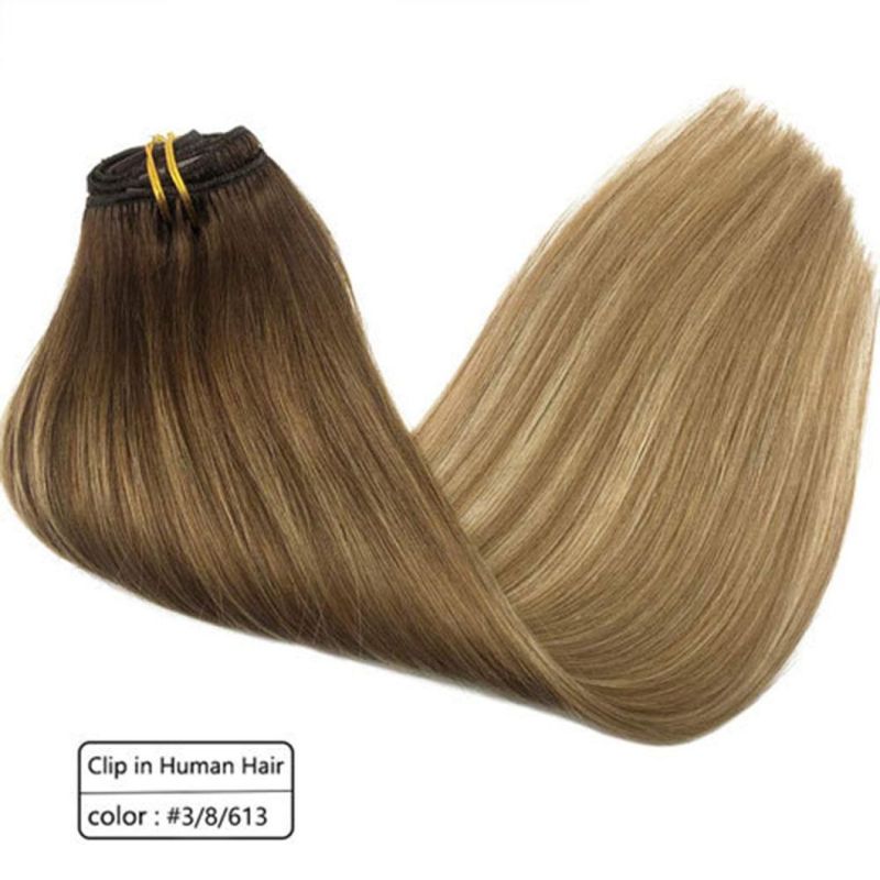 Clip in Brazilian Human Hair Extensions Full Head Remy Human Hair Straight Hair Extensions Multi Color 20 Inches