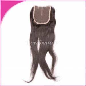 Hot Selling Straight Hair Closure Brazilian Hair