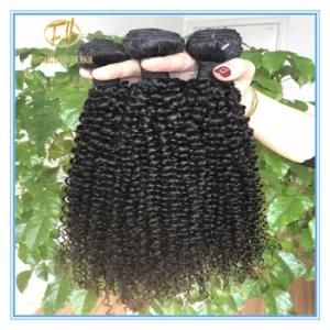 Unprocessed Natural Black Color Human Hair Products/Brazilian Virgin Hair/Human Hair Extension Cut From One Donor Wfkc-001