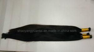 Good Quality 100% Human Hair Bulk Extensions (Processed/Unprocessed Virgin hair)