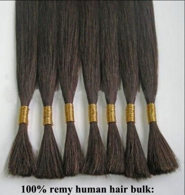 Wholesale Unprocessed Virgin Cuticle Aligned Brazilian Hair Human Hair Bulk