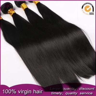 Vietnamese Hair Bundles Virgin Human Hair Weave Good Thickness