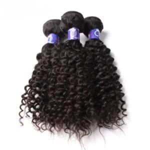 Wholesale 100% Brazilian Remy 10A Curly Mink Hair Weaves