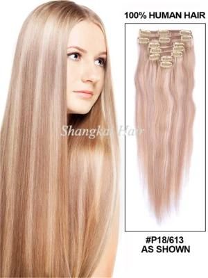 Clip in Hair Extension Mix Piano Color Human Hair