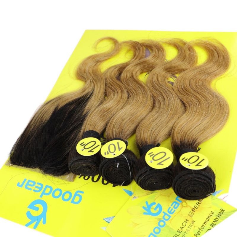 Ombre T1b/27# Brazilian Body Wave Human Hair Bundles with Closure