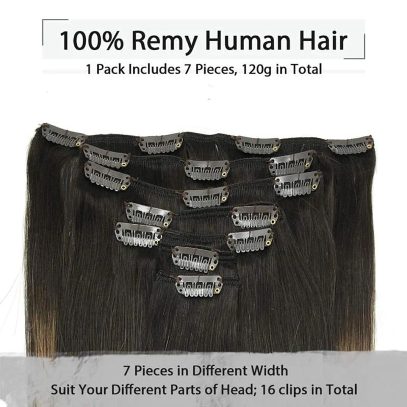 Brazilian Human Hair Extensions Full Head Clip in Remy Human Hair Straight Hair Extensions Multi Color 20 Inches Clip in