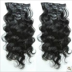 Indian Remy Virgin Human Hair Clips in/on Weaving Weavy/Weft Human Hair Extension