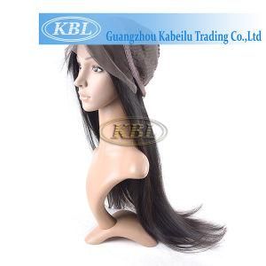 Brazilian Silk Top Lace Front Wig